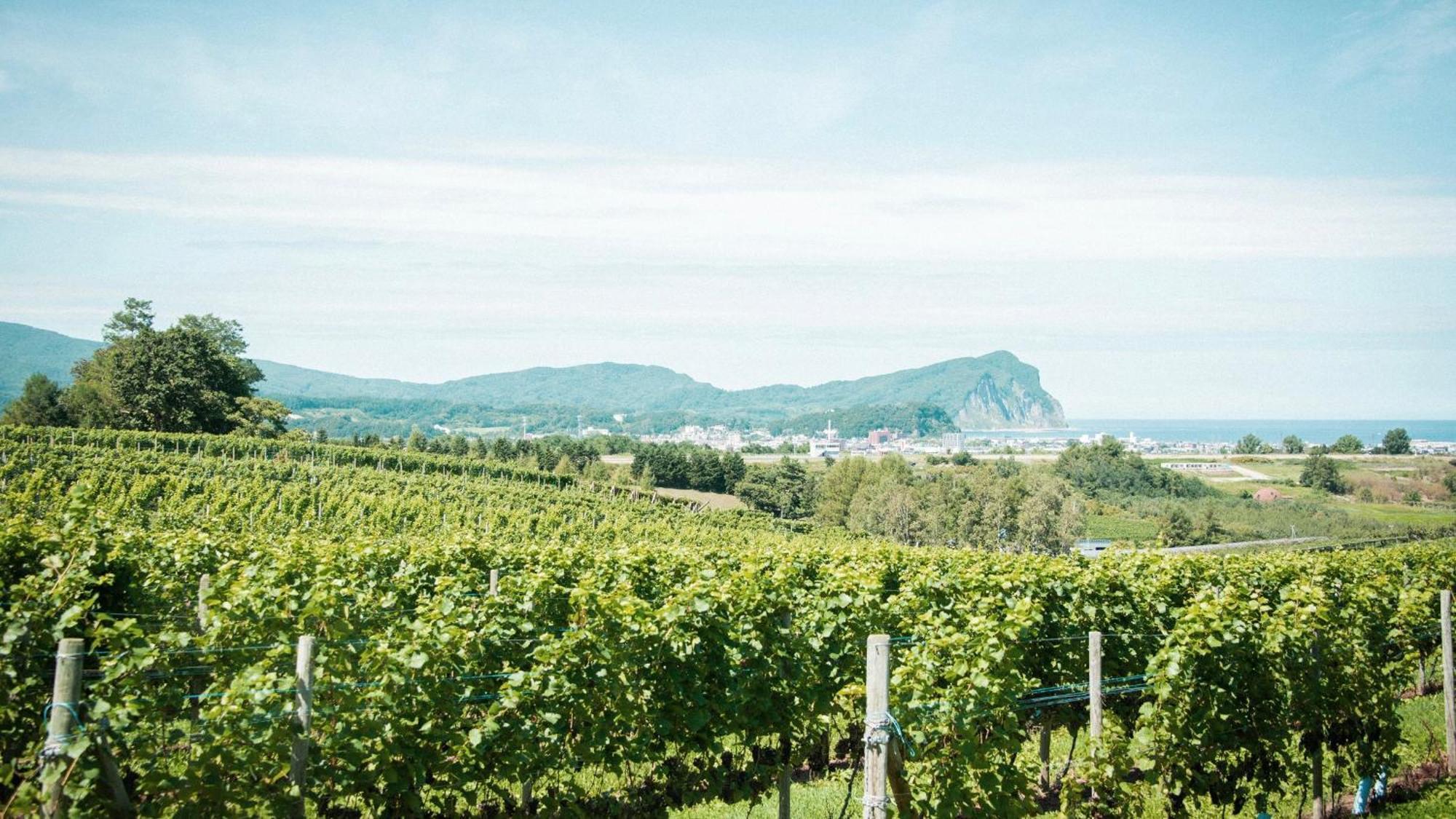 فندق Yoichi Vineyard Glamping المظهر الخارجي الصورة